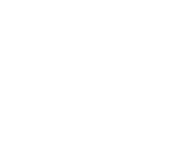 TimeTransfers accepts payments over Stripe